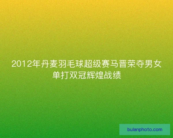 2012年丹麦羽毛球超级赛马晋荣夺男女单打双冠辉煌战绩