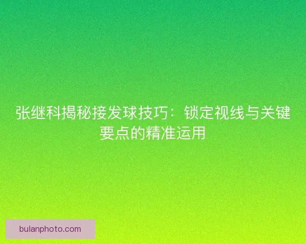 张继科揭秘接发球技巧：锁定视线与关键要点的精准运用