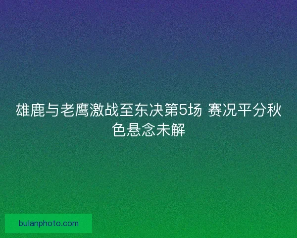 雄鹿与老鹰激战至东决第5场 赛况平分秋色悬念未解