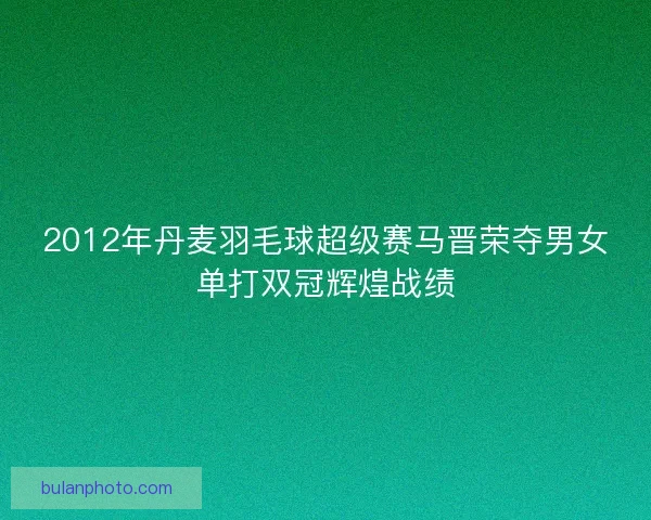 2012年丹麦羽毛球超级赛马晋荣夺男女单打双冠辉煌战绩