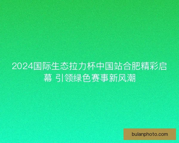 2024国际生态拉力杯中国站合肥精彩启幕 引领绿色赛事新风潮