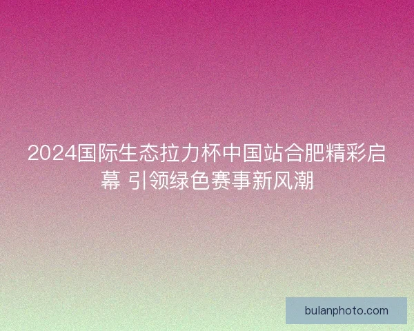 2024国际生态拉力杯中国站合肥精彩启幕 引领绿色赛事新风潮 2024国际生态拉力杯中国站合肥精彩启幕 引领绿色赛事新风潮